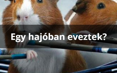 Vállalkozás és a család