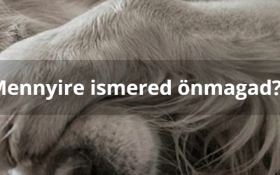 Céljaidat megfelelő önismeret nélkül nem tudod elérni