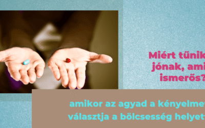 Miért tűnik jónak, ami ismerős? – A kognitív könnyítés hatása a befektetési döntéseinkre