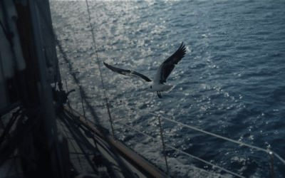 Pénzügyi mentor – miben segít valójában? | MMS Method